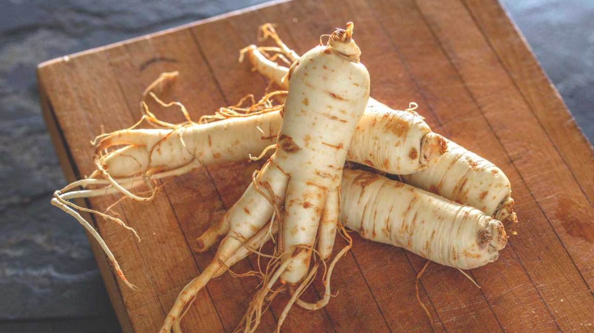gingseng rosu ginsavit